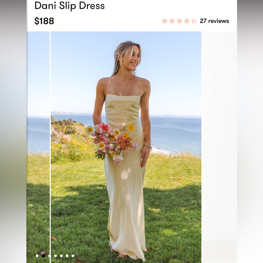 Show Me Your MuMu Dani Slip Dress